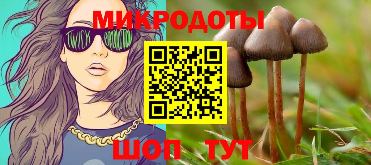 Псилоцибиновые грибы ЛСД  Вход с VPN  Галлюциногенные грибы прущие грибы  где купить наркоту  Сергиев Посад 