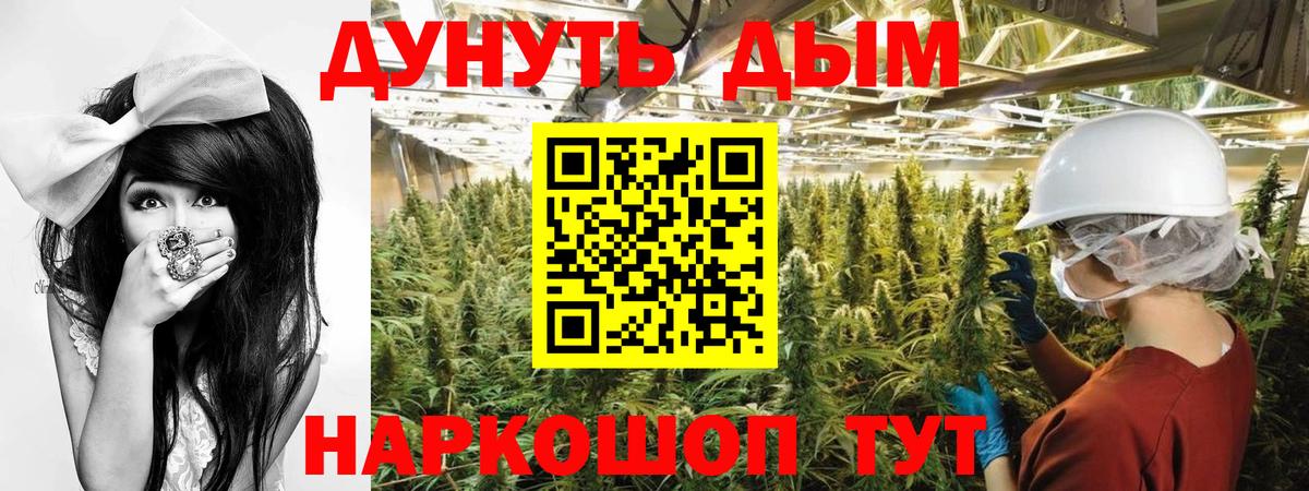 Бошки Шишки сатива  Канабис марихуана  Вход с VPN  Сергиев Посад 